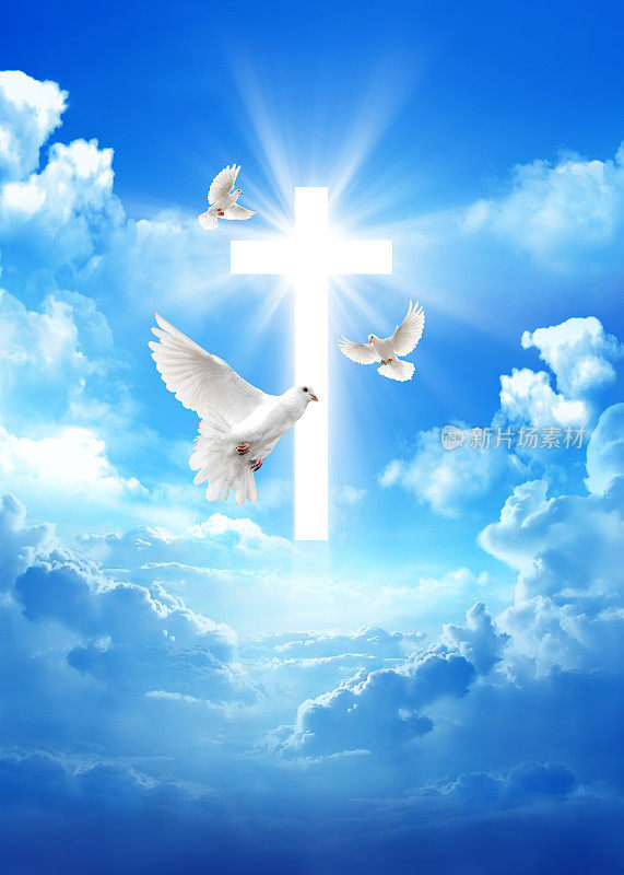 鸽子飞过一个十字架，在多云的天空中带着光线的背景