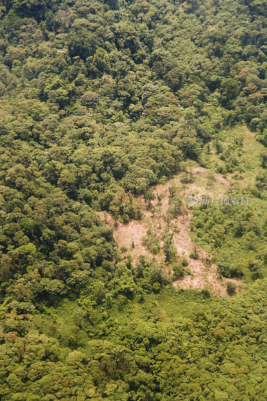 厄瓜多尔低水平的森林砍伐