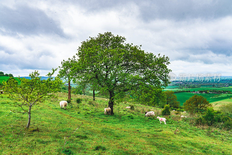 英国邓斯特布尔唐斯，夏天阴天从山上看到的英国风景