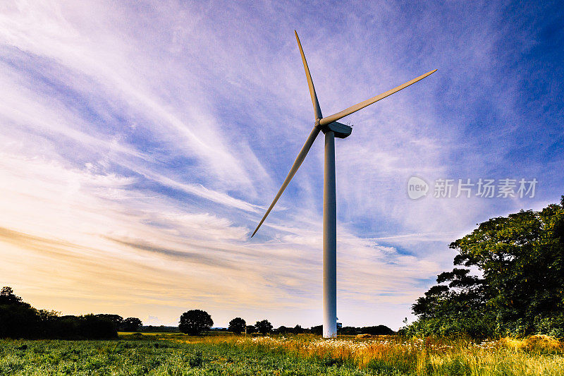 在黄金时段，农业景观中的风力发电厂的风力涡轮机