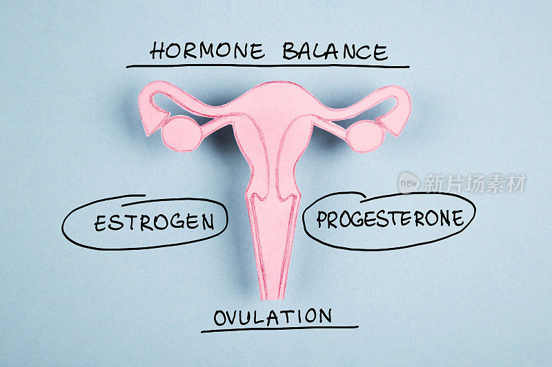 荷尔蒙平衡，雌激素，黄体酮