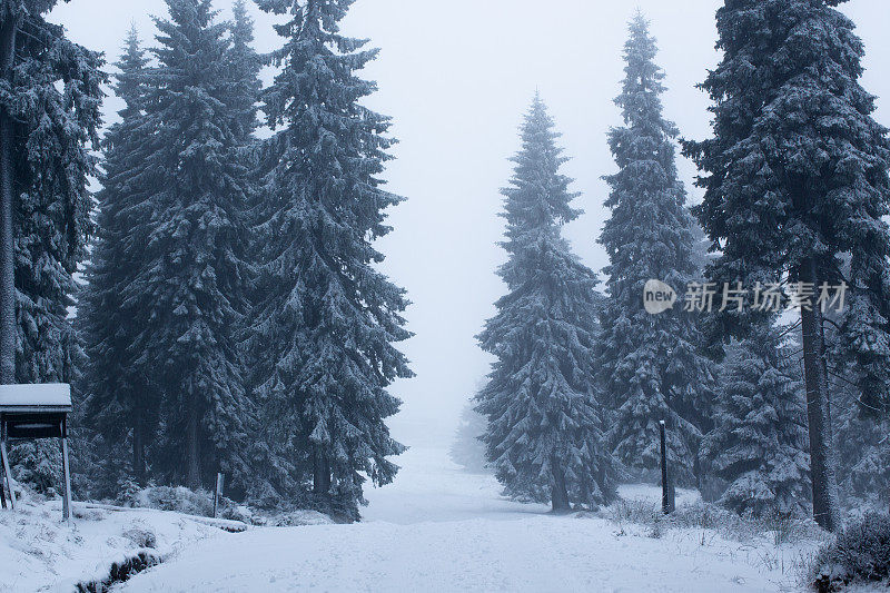 山林，雪，冬天