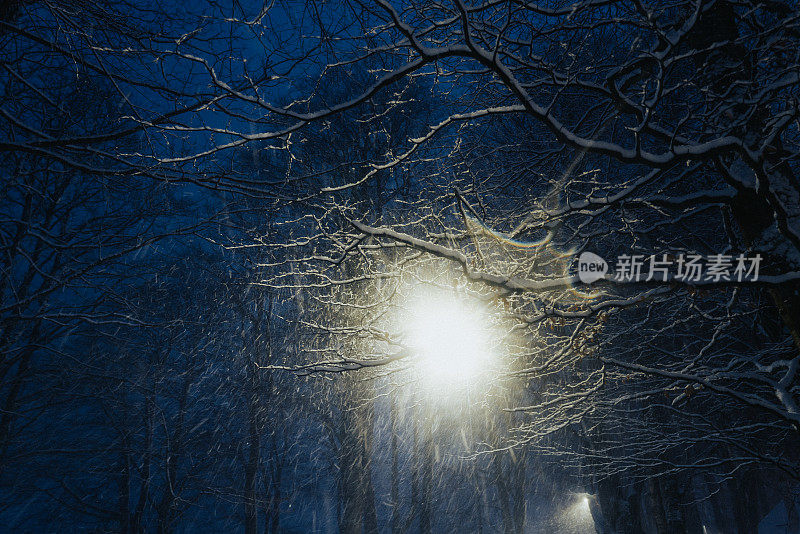 晚上公园里的暴风雪