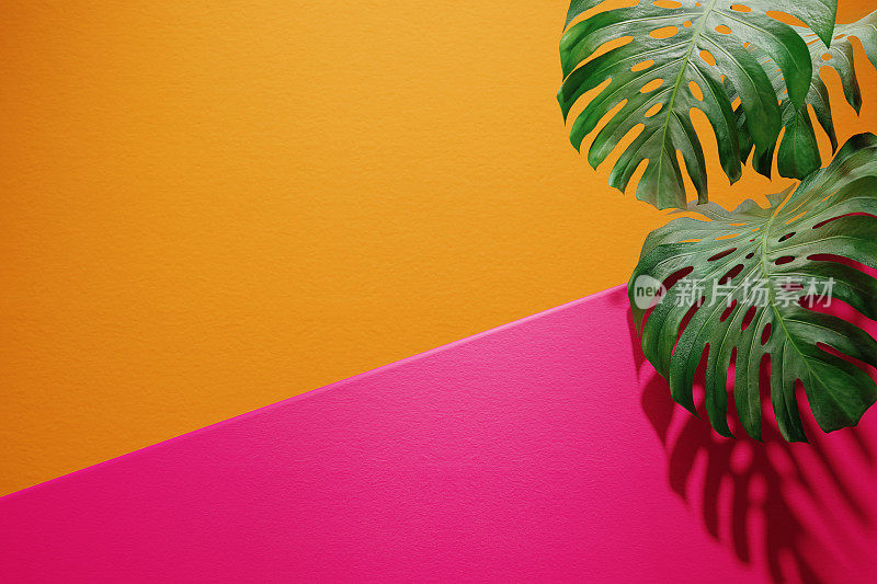 生动多彩的夏季背景与怪物叶。充满活力的橙色和粉红色的工作室场景与几何形状和棕榈的产品讲台展台陈列室模型。