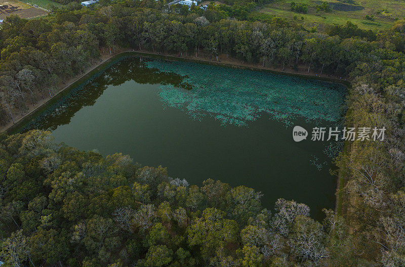 巴鄂湖，巴鄂湖，越南湄公河三角洲特拉荣省著名的旅游景点