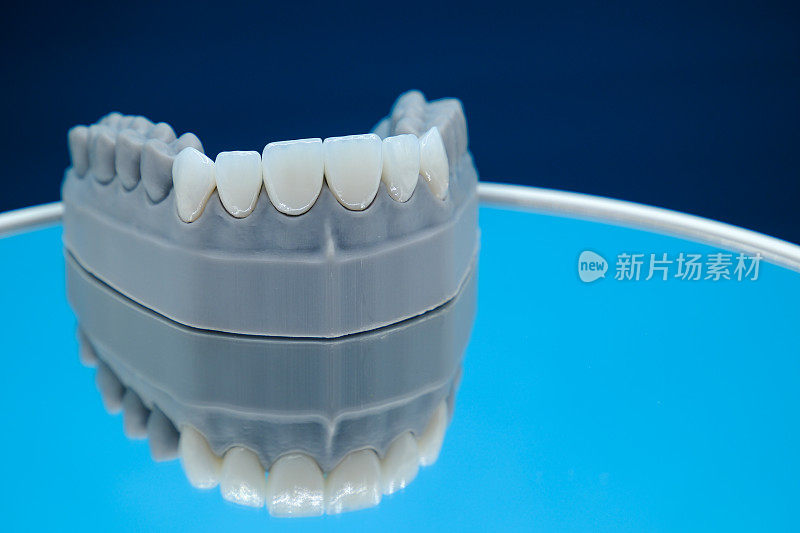 在蓝色反射背景下拍摄的锆牙齿模型