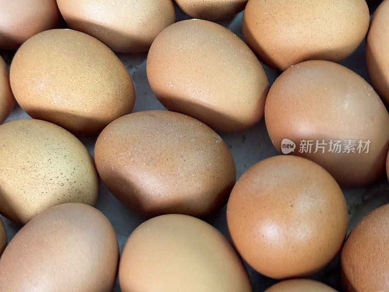 一批有机鸡蛋的全画幅图像，脏的棕色蛋壳鸡蛋，白色背景，高架视图