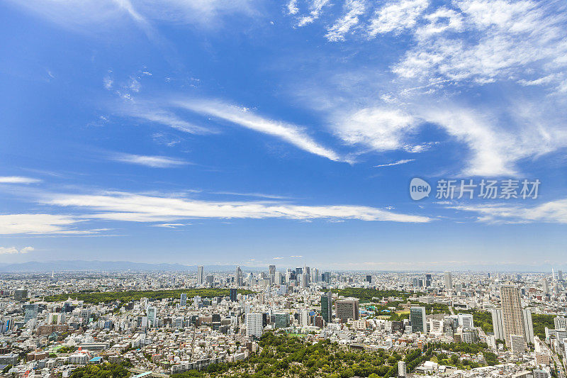 鸟瞰图东京市，日本