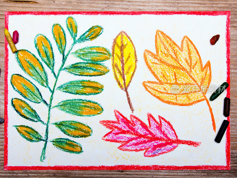 色彩斑斓的图画:秋叶