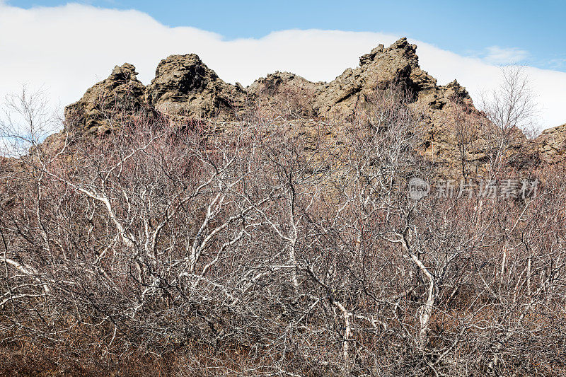 Dimmuborgir——冰岛著名的风景