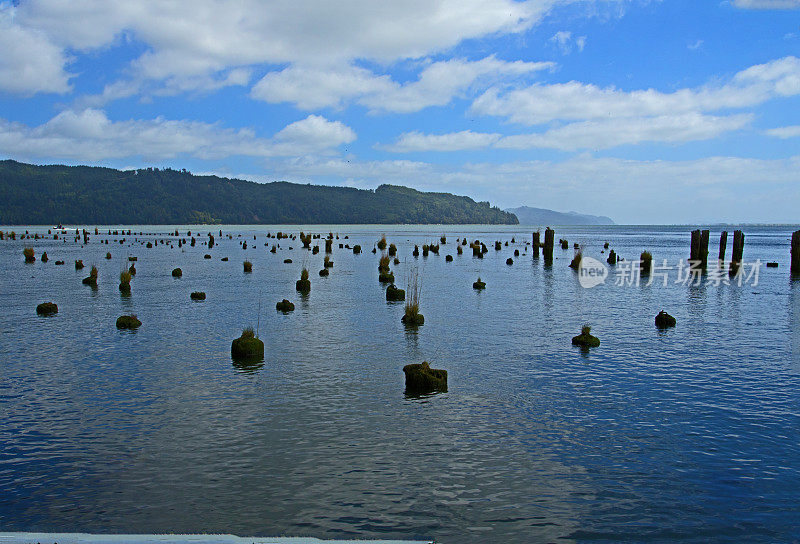 华盛顿海岸