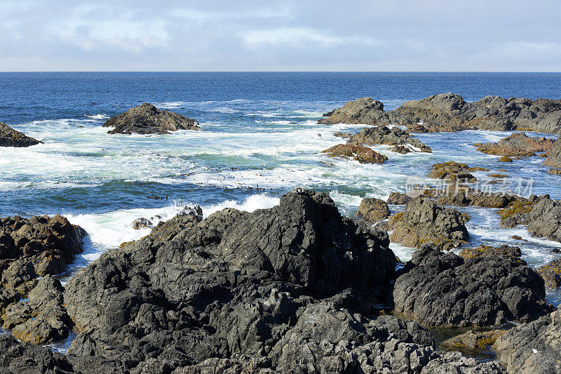 Ucluelet,温哥华岛