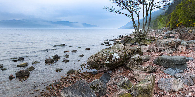 尼斯湖岸，地平线上有山脉