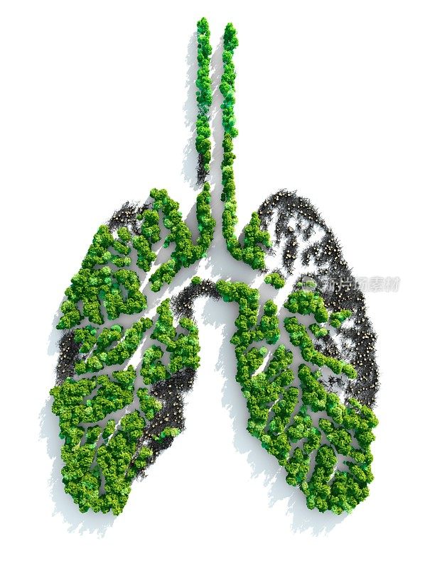 地球之肺