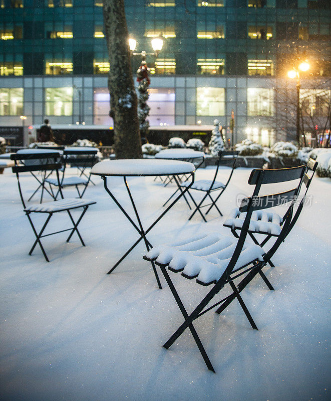 暴风雪过后的布莱恩特公园