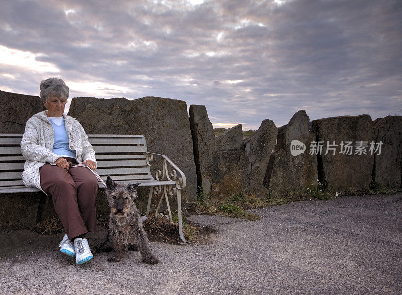 长凳上的老妇人和老狗