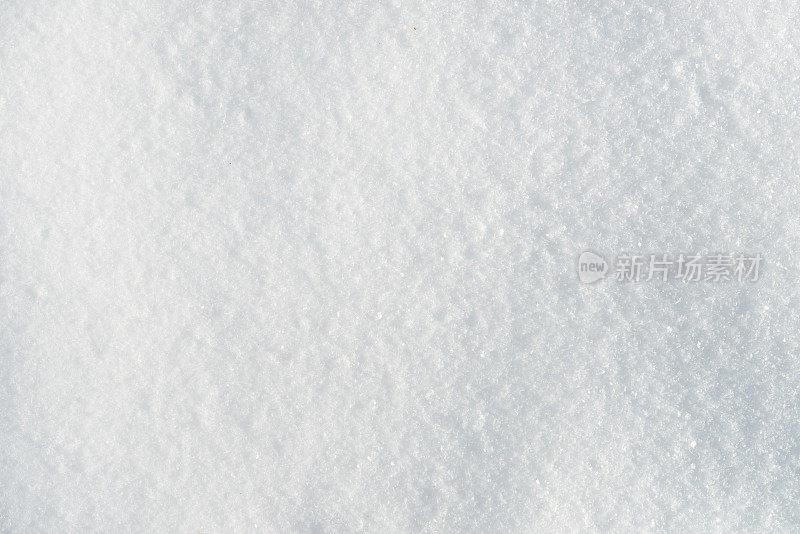 新鲜的雪