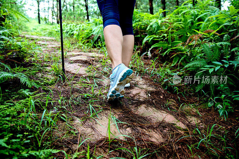 女人在森林里徒步旅行