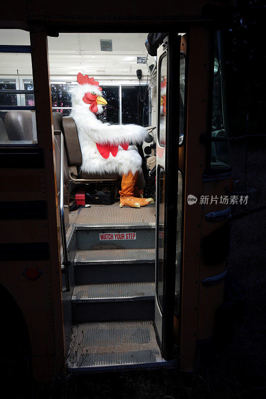 小鸡开校车