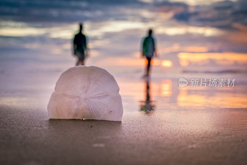 沙滩和海滩景色