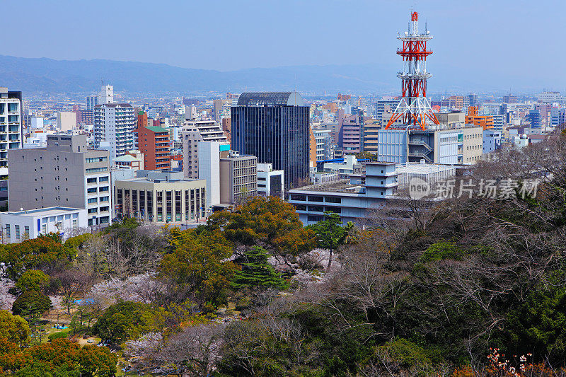 和歌山市的春天