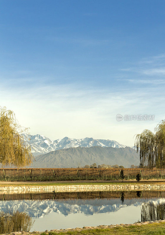 葡萄园，湖和山