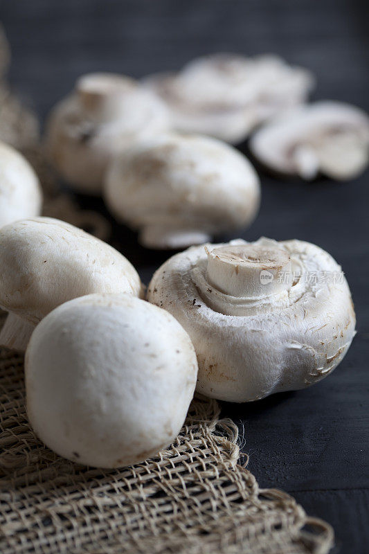 白蘑菇垂直