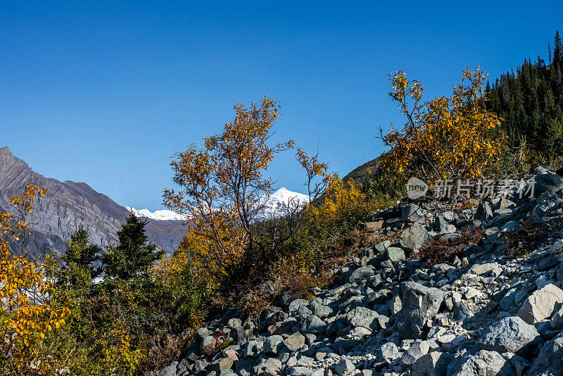 阿拉斯加风景