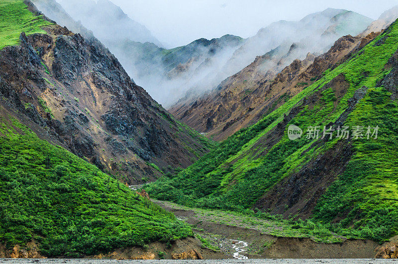 山中的迷雾