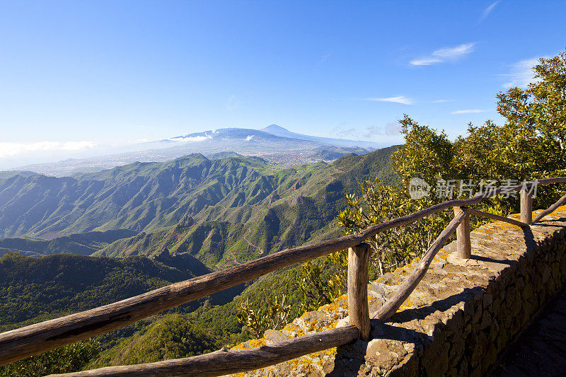 特内里费，加那利群岛，阿纳加山脉，西班牙