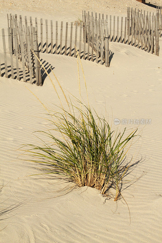 海滩栅栏砂