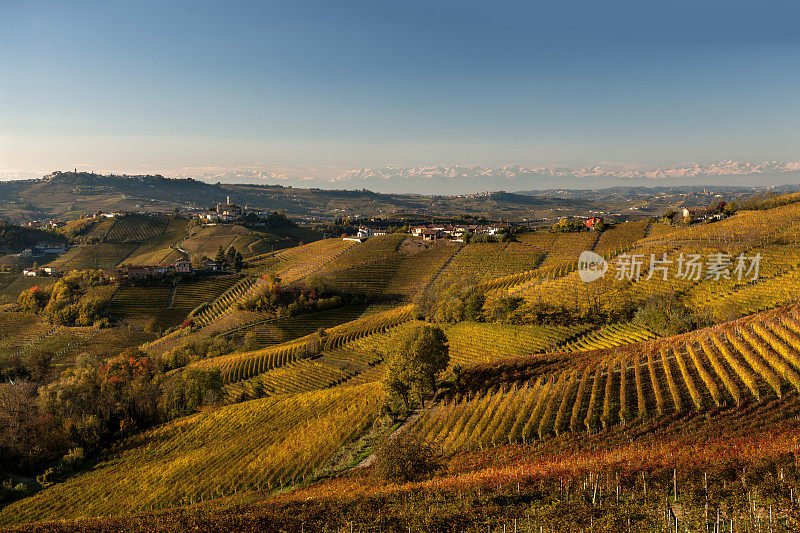 秋天的葡萄园，丘陵的朗河，以群山为背景