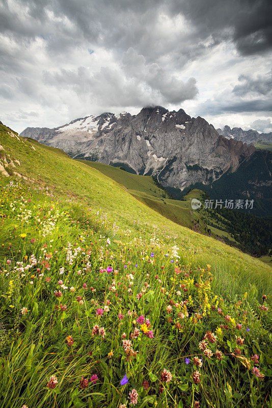 夏季的马尔莫拉达群(白云石，阿尔卑斯山)