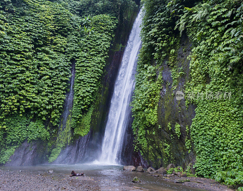 巴厘岛的瀑布