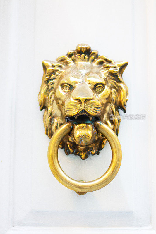 马耳他:白色门上的青铜狮头门环(特写)