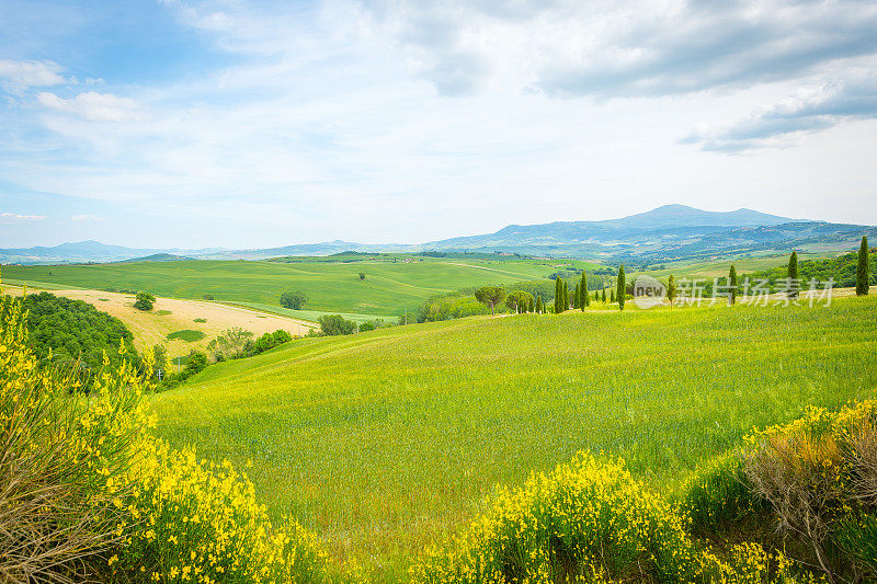 美丽的托斯卡纳景观