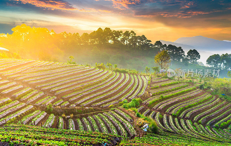 泰国北部的山景，日出和薄雾