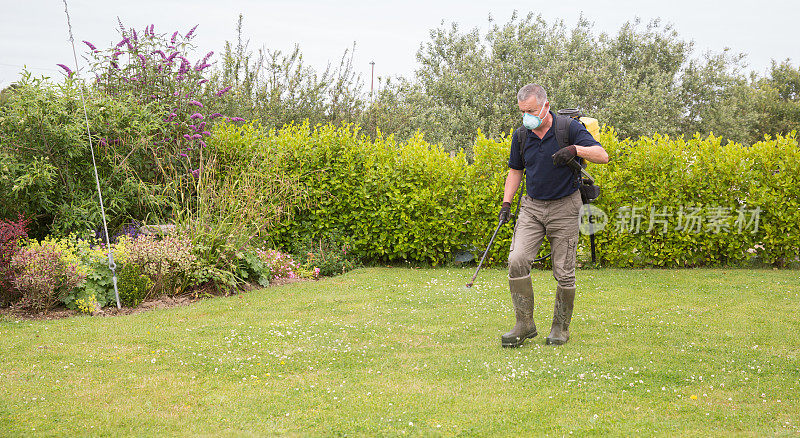 园艺师在草坪和花园的维护上喷洒除草剂