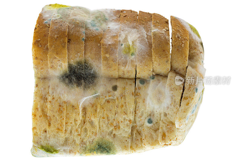 黑，黄，蓝霉菌在霉变的老全麦面包上孤立在白色上