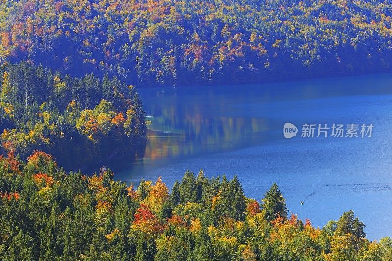 在金色的秋天，在巴伐利亚阿尔卑斯的田园诗般的阿尔普西湖上