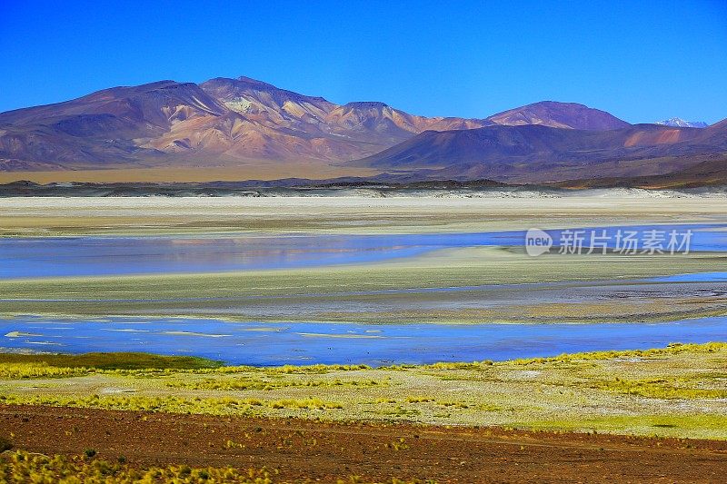 萨拉德塔拉和绿松石湖，田园诗般的阿塔卡马沙漠，火山景观全景-圣佩德罗德阿塔卡马，智利，玻利维亚和阿根廷边境