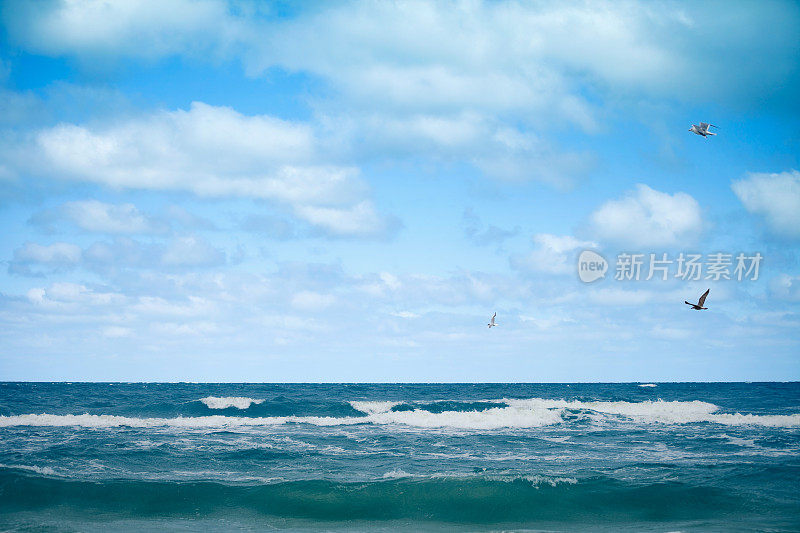 波罗的海，天空的云彩和小海鸥