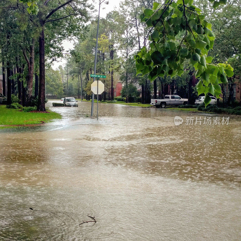 飓风哈维淹没了德克萨斯郊区的街道