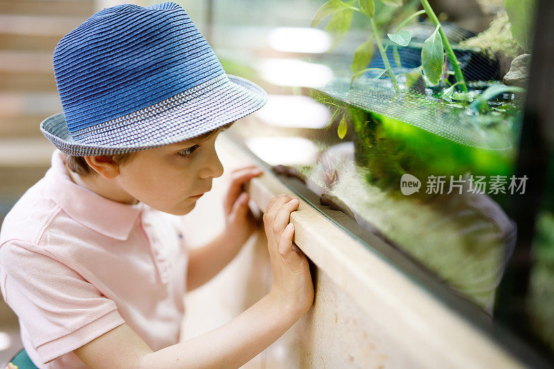 小男孩喜欢水族馆里各种各样的爬行动物和鱼类
