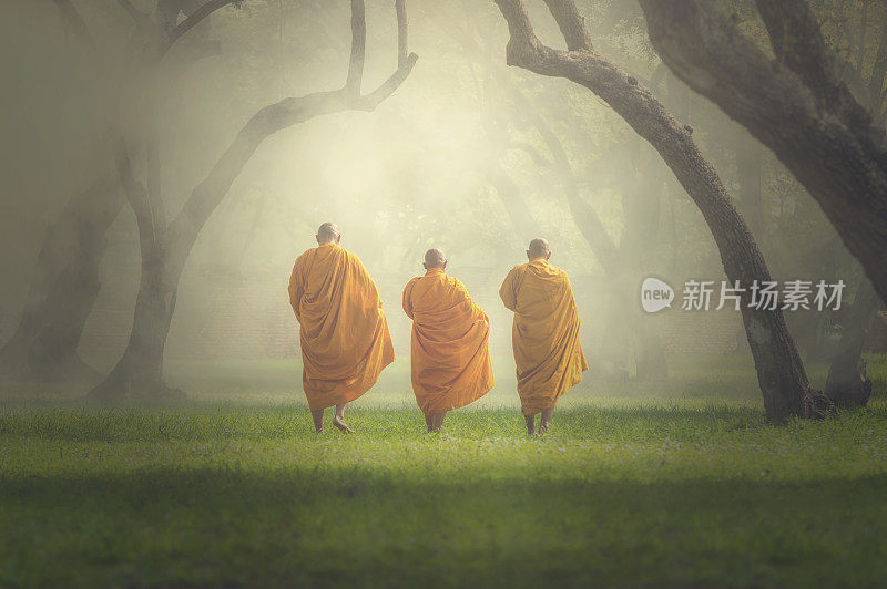 僧人徒步深林，佛祖观佛