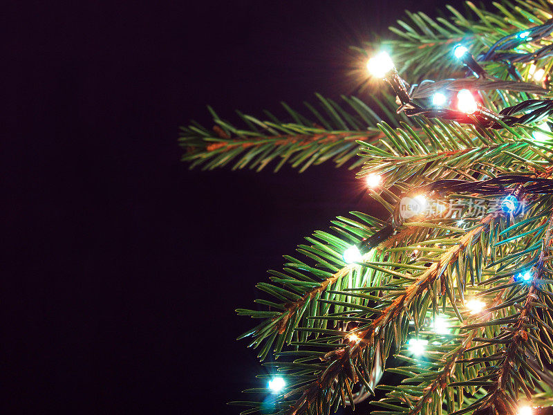 在黑暗的背景上装饰着发光的花环的圣诞树