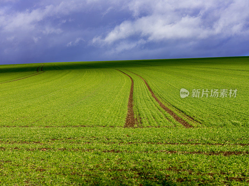 农业绿地，拖拉机履带和戏剧性的天空。