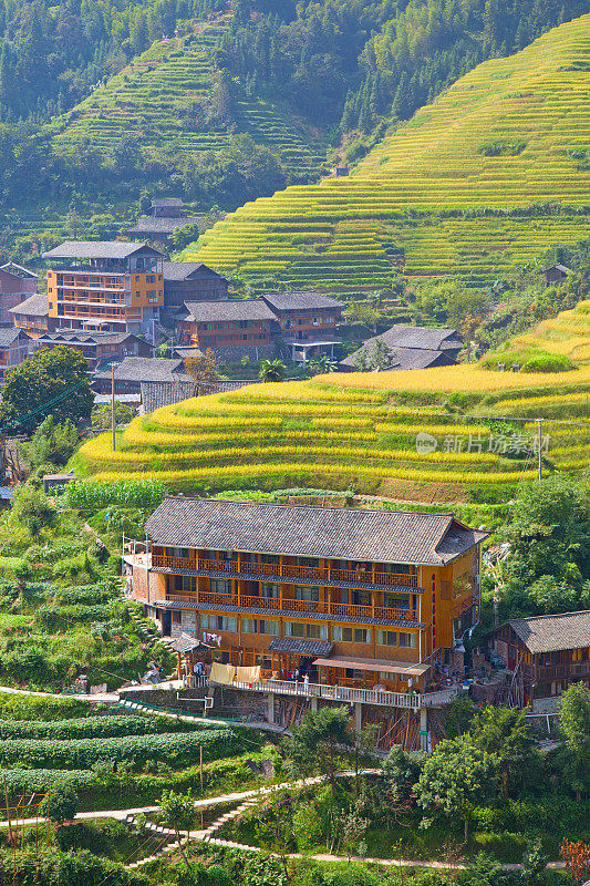 隆基水稻梯田