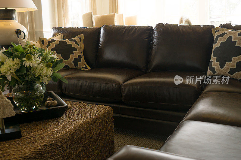 舒适的客厅，真皮组合沙发