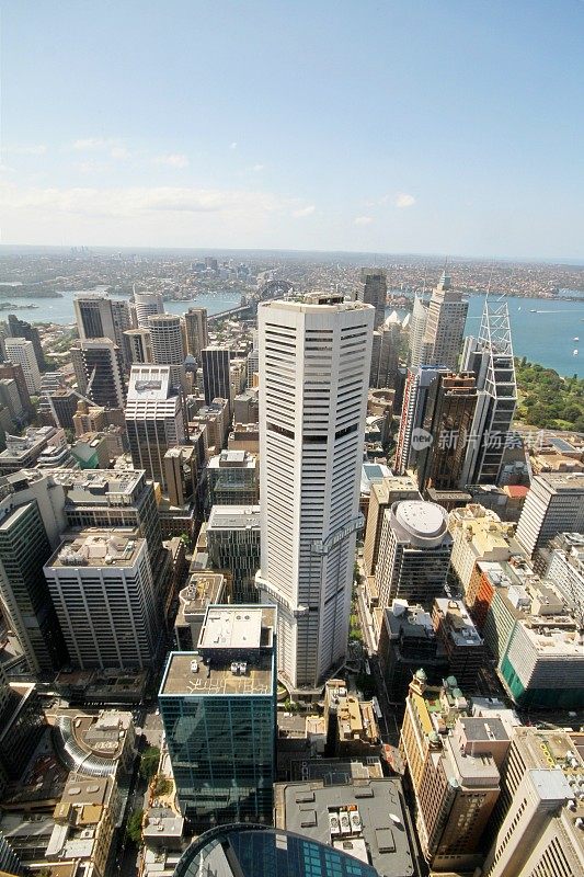 悉尼城市鸟瞰图摩天大楼和周边郊区